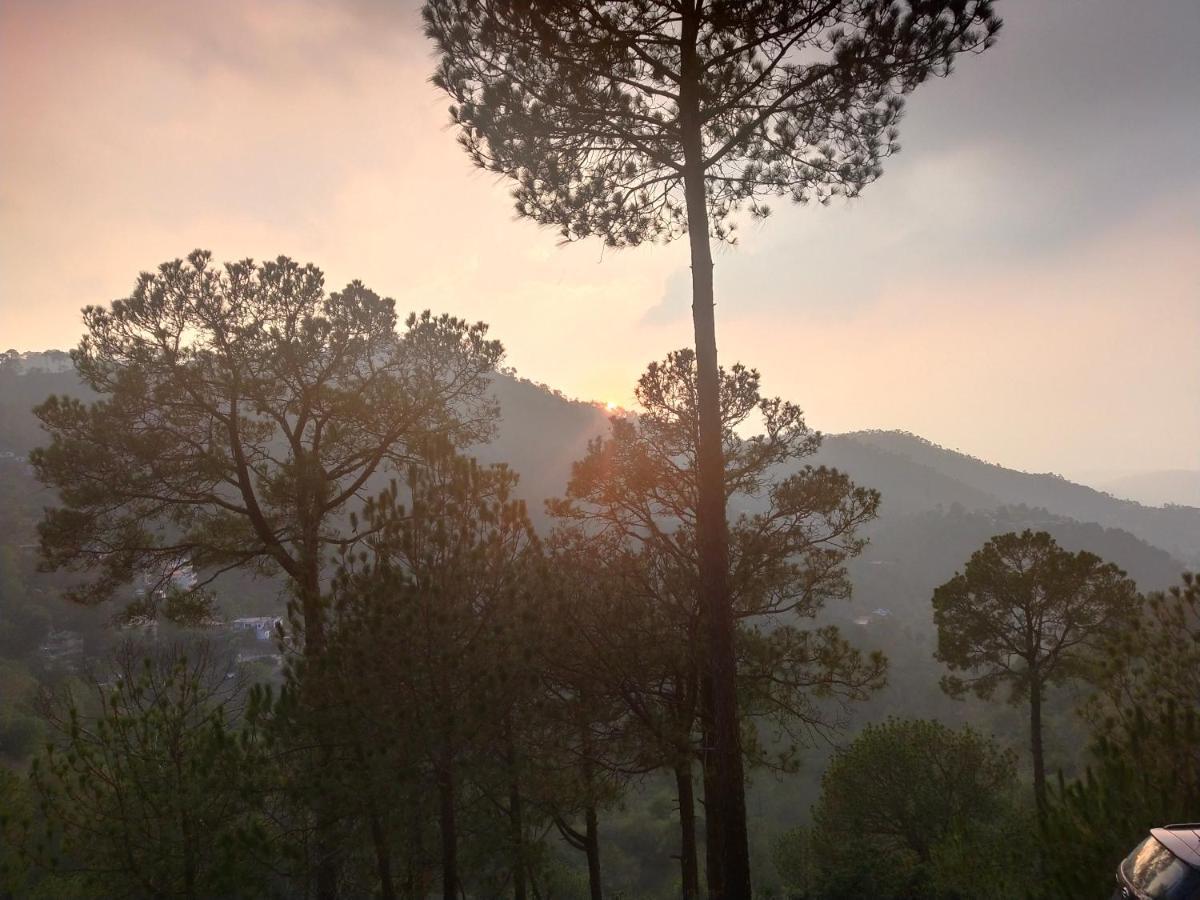 Pine Villa Kasauli Exterior foto