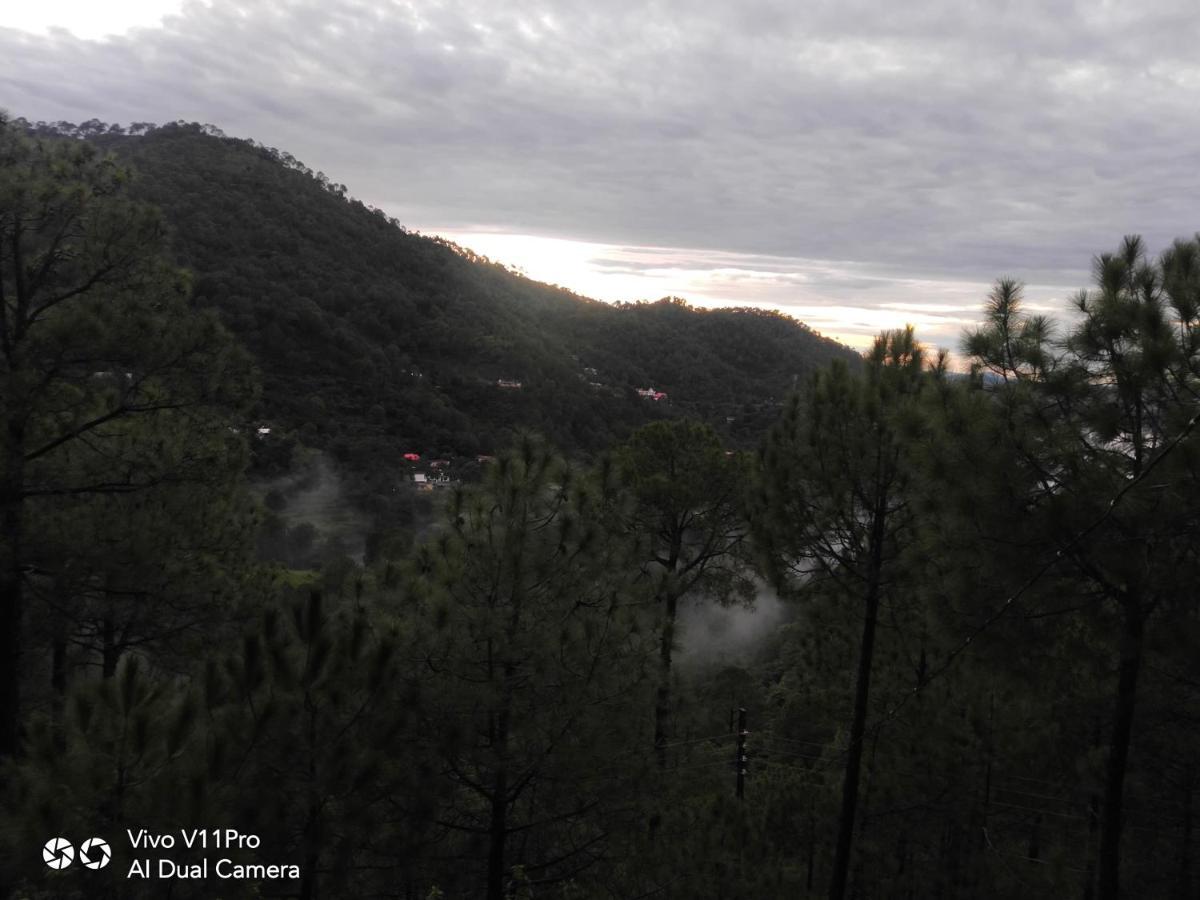 Pine Villa Kasauli Exterior foto