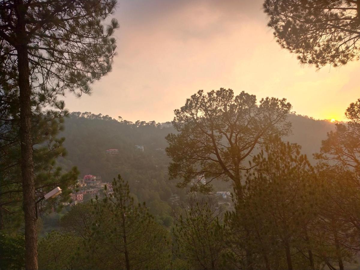 Pine Villa Kasauli Exterior foto
