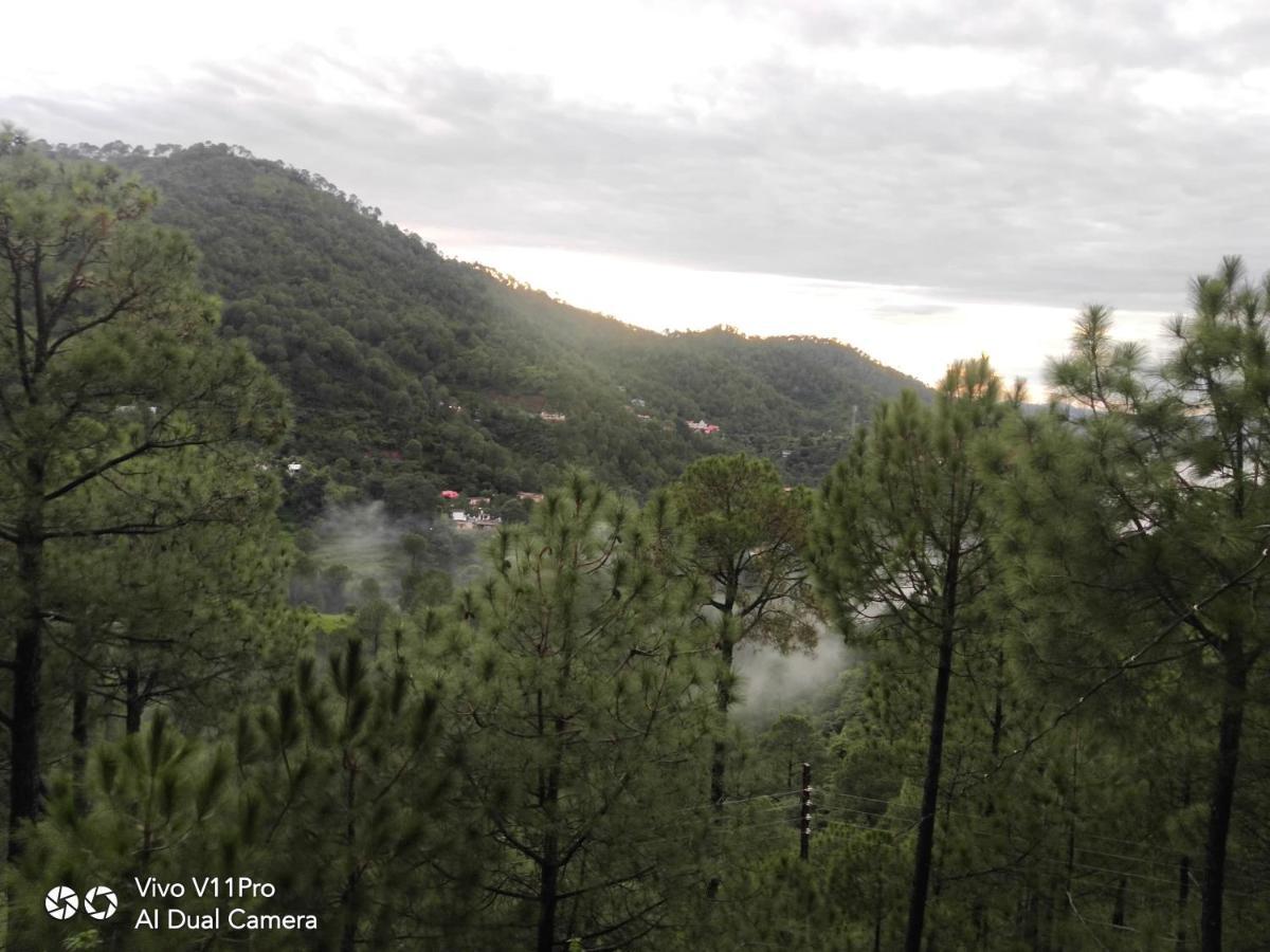 Pine Villa Kasauli Exterior foto