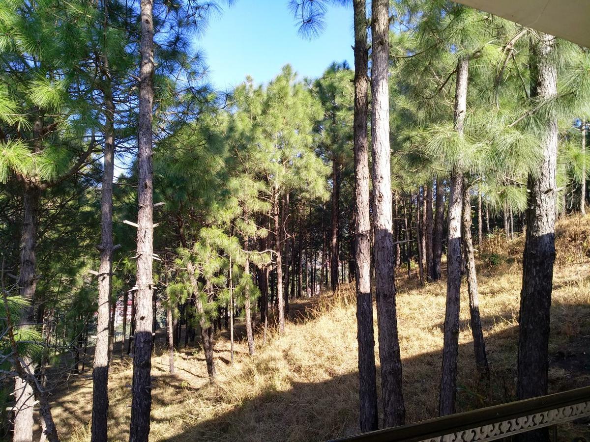 Pine Villa Kasauli Exterior foto
