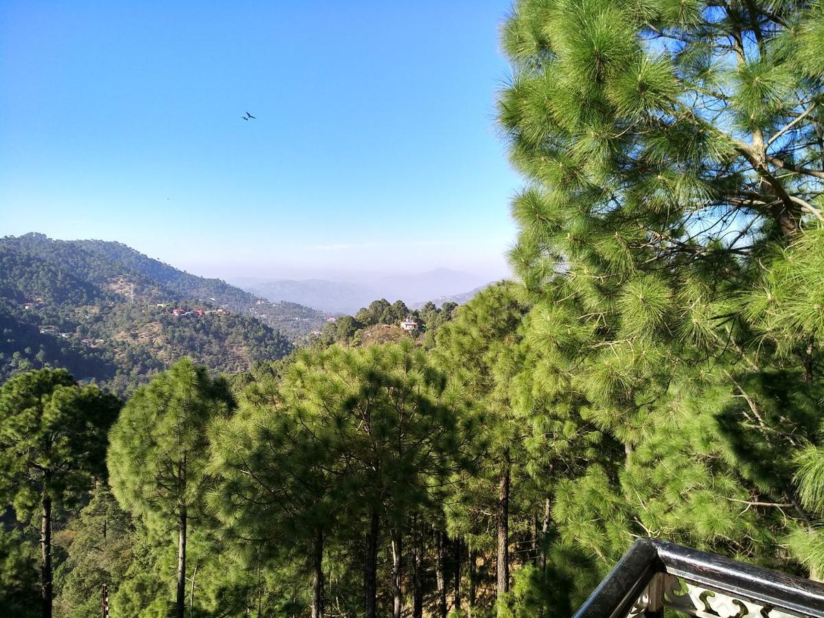 Pine Villa Kasauli Exterior foto